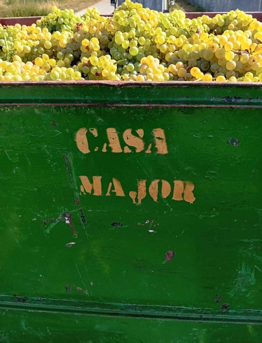 Casa Major Bed and Breakfast Pegarinhos Εξωτερικό φωτογραφία